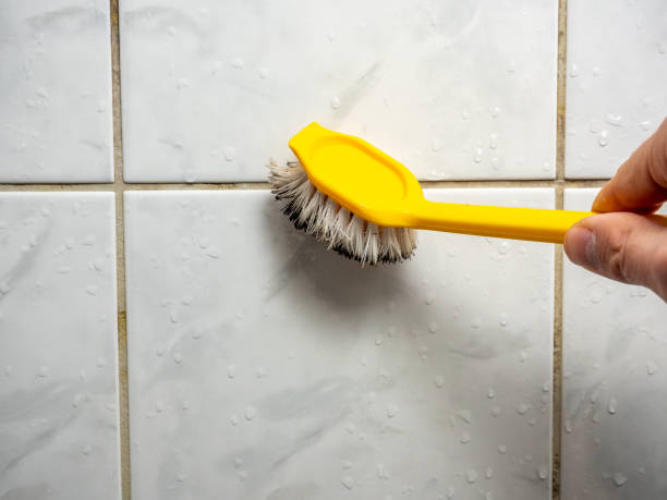 Best Localized Mold Remediation (e.g., coastal areas, humid climates) in Princeton, WI