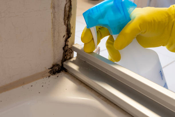 Best Crawl Space Mold Remediation in Princeton, WI