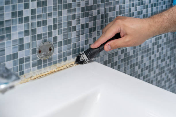 Reliable Princeton, WI Mold Remediation Solutions